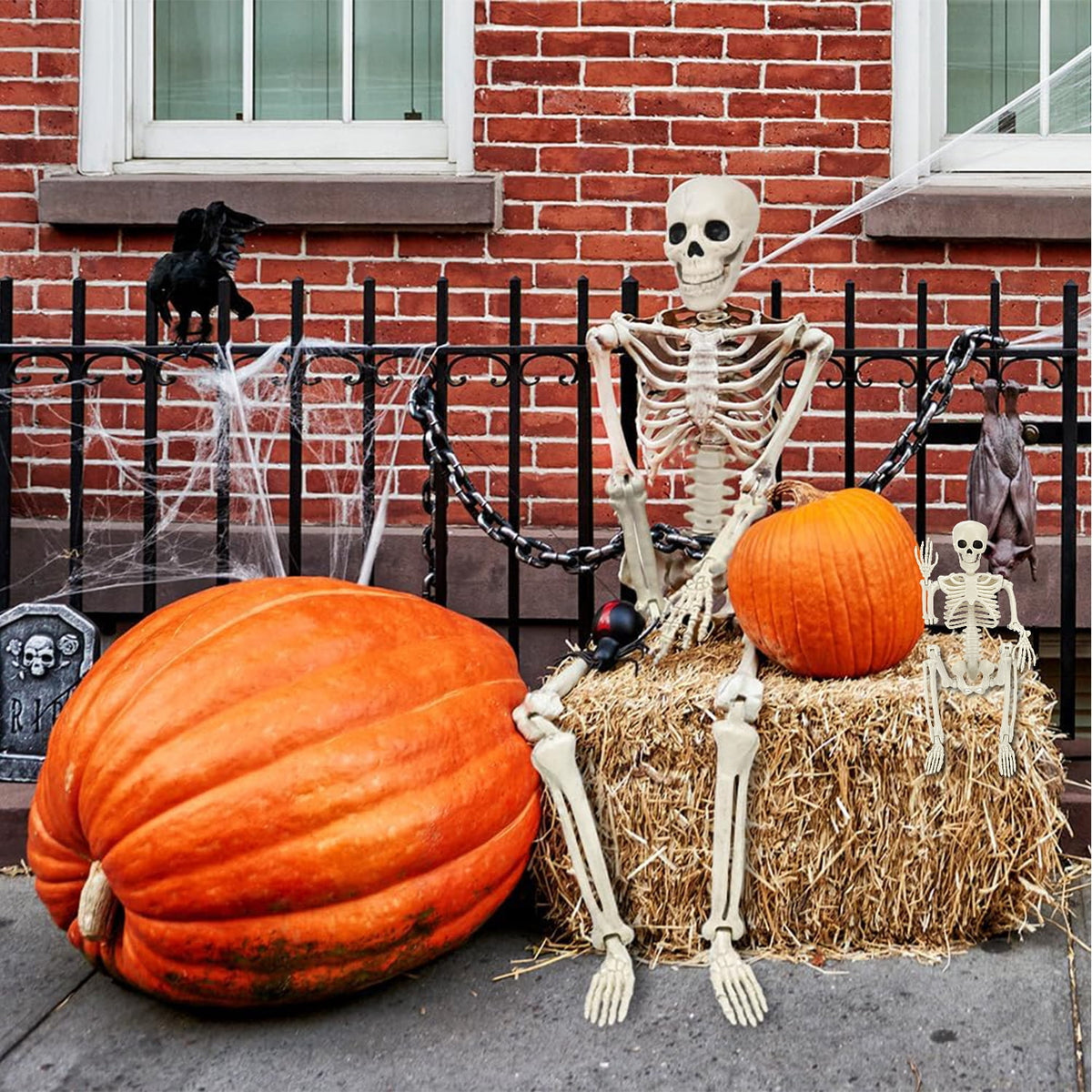 3 piece skeleton decoration set